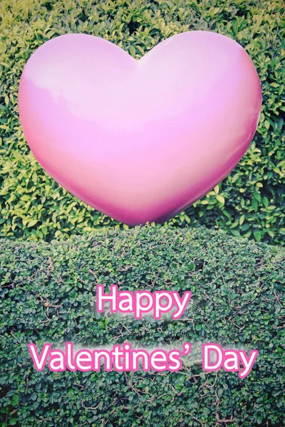Růžové srdce na zelený živý plot Valentines konceptu — Stock fotografie