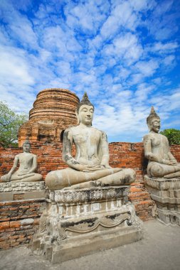 Wat Yai Chai Mongkhon 'un güzel manzarası.