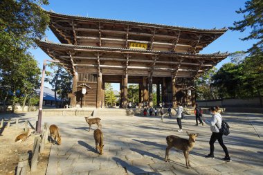 Todaiji Tapınağı 'nın büyük tahta kapısı..