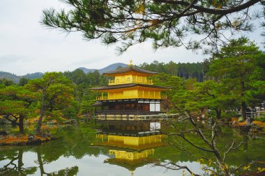 Kinkakuji tapınağındaki ünlü Altın Köşk..