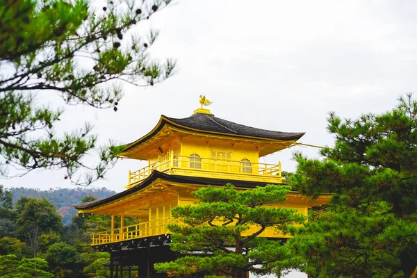 Den berömda gyllene paviljongen i Kinkakuji-templet. — Stockfoto