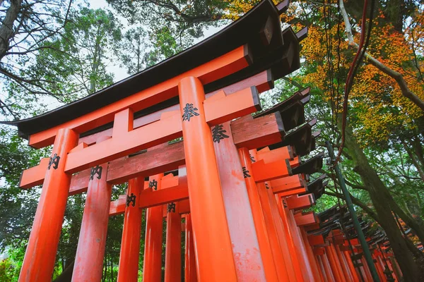 Fushimi Inari Taisha torii grindar — Stockfoto