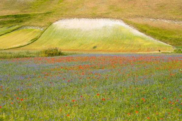 Paisagem Natural Planície Castelluccio Norcia Apeninos Umbria Itália — Fotografia de Stock