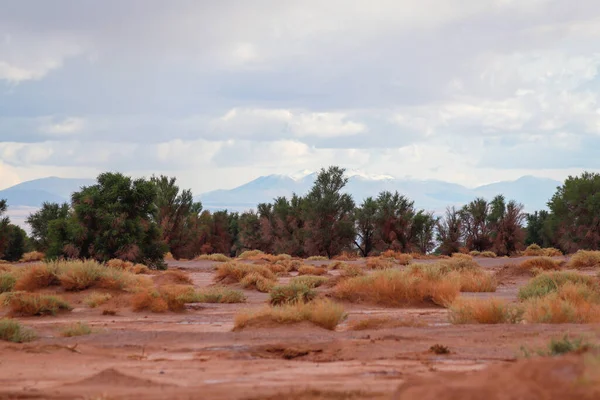 Views of the arid landscape of the Atacama desert, Chile