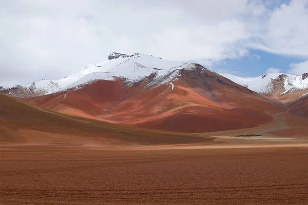 볼리비아 고지대의 풍경입니다 눈덮인 안데스산맥의 정상들이 볼리비아 안데스 고원의 — 스톡 사진