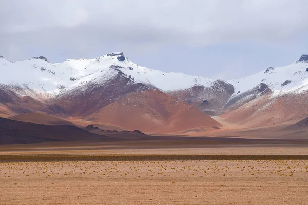 Paesaggio Degli Altopiani Boliviani Paesaggio Desertico Dell Altopiano Andino Della — Foto Stock