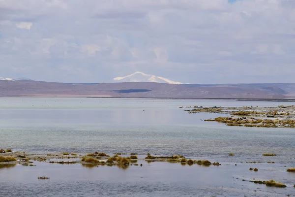 View Salar Chalviri Termas Polques Hot Springs Bolivia Landscape Andean — Stock Photo, Image