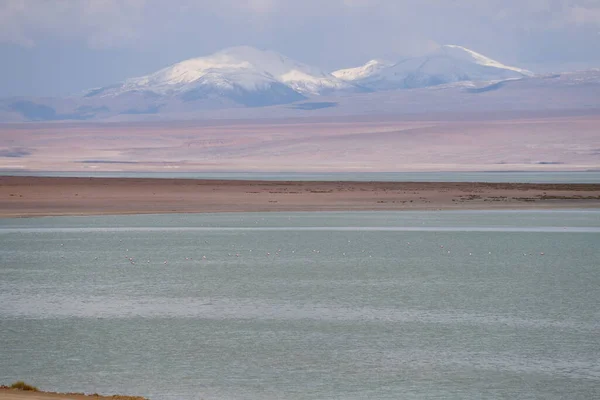 テルマス Polques ボリビアの近くにサラル Chalviri の景色を望めます ボリビアのアンデス高地の風景 — ストック写真