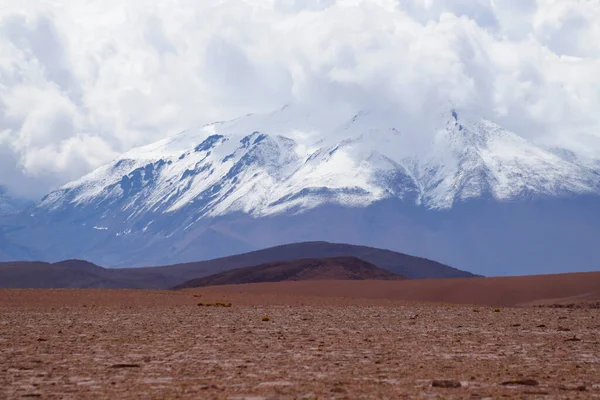 Paesaggio Degli Altopiani Boliviani Paesaggio Desertico Dell Altopiano Andino Della — Foto Stock