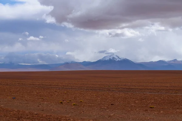 Пейзаж Боливийского Нагорья Пустынный Пейзаж Андского Плато Боливии Вершинами Заснеженных — стоковое фото