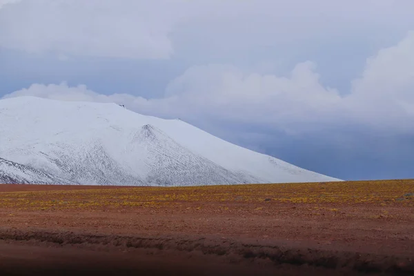 볼리비아 고지대의 풍경입니다 눈덮인 안데스산맥의 정상들이 볼리비아 안데스 고원의 — 스톡 사진