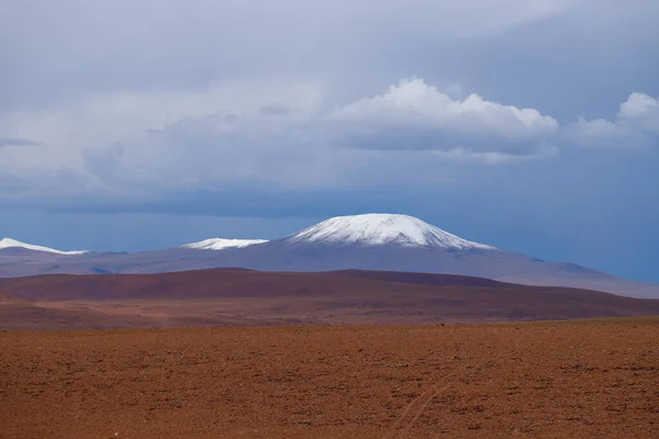 Paysage Des Hauts Plateaux Boliviens Paysage Désertique Plateau Andin Bolivie — Photo