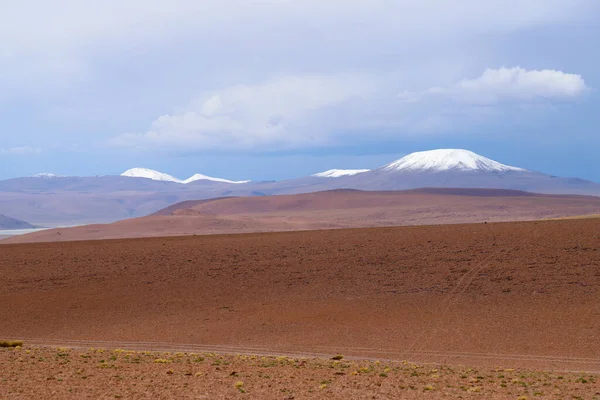 Пейзаж Боливийского Нагорья Пустынный Пейзаж Андского Плато Боливии Вершинами Заснеженных — стоковое фото