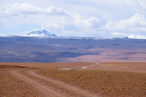 Droga Krajobrazie Boliwijskich Wyżyn Pustynny Krajobraz Andyjskiego Płaskowyżu Boliwii Szczytami — Zdjęcie stockowe