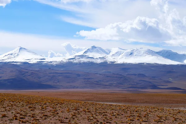 Paisaje Del Altiplano Boliviano Paisaje Desértico Meseta Andina Bolivia Con — Foto de Stock