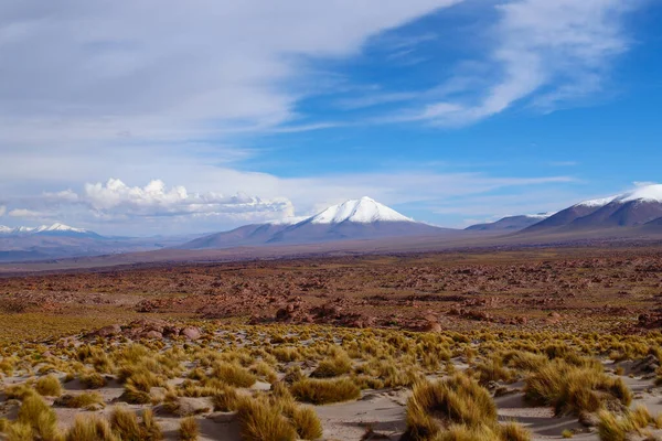 Paisaje Del Altiplano Boliviano Paisaje Desértico Meseta Andina Bolivia Con — Foto de Stock