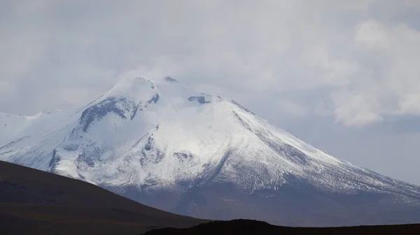 Volcans Enneigés Paysages Désertiques Autour Laguna Turquiri Bolivie Paysages Andins — Photo
