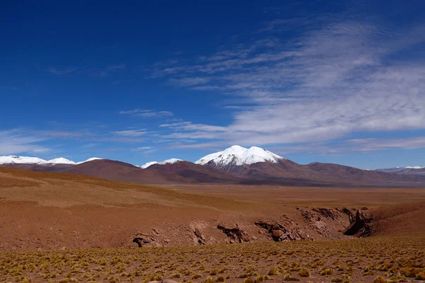 Paesaggio Del Deserto Siloli Vicino Sol Manana Geysers Vulcani Innevati — Foto Stock