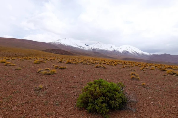 Schneebedeckte Vulkane Und Wüstenlandschaften Hochland Von Bolivien Andenlandschaften Des Bolivianischen — Stockfoto