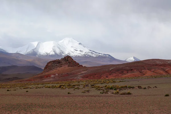 Ośnieżone Wulkany Pustynne Krajobrazy Wyżynach Boliwii Andyjskie Krajobrazy Płaskowyżu Boliwii — Zdjęcie stockowe