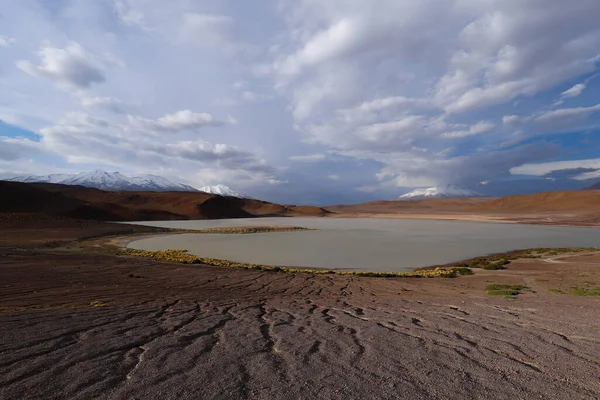 Laguna Honda Volcans Enneigés Paysages Désertiques Dans Les Hautes Terres — Photo