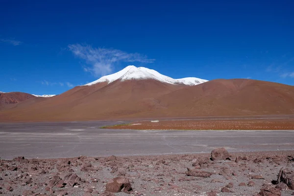 Laguna Colorada Siloli Çölü Manzarası Karla Kaplı Volkanlar Bolivya Nın — Stok fotoğraf