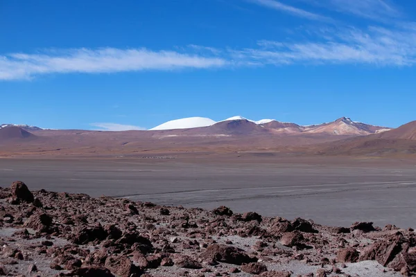 Laguna Colorada Paesaggio Del Deserto Siloli Vulcani Innevati Paesaggi Desertici — Foto Stock