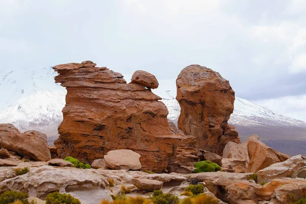 볼리비아 라구나 주변의 층입니다 안데스산맥 볼리비아 — 스톡 사진