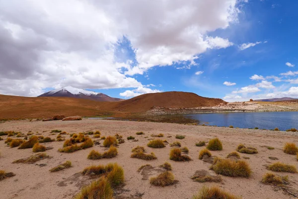 Laguna Turquiri Bolivya Çevresindeki Karla Kaplı Volkanlar Çöl Manzaraları Manzaraları — Stok fotoğraf