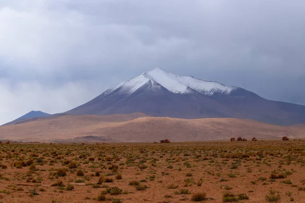 Ośnieżone Wulkany Pustynne Krajobrazy Wyżynach Boliwii Andyjskie Krajobrazy Płaskowyżu Boliwii — Zdjęcie stockowe