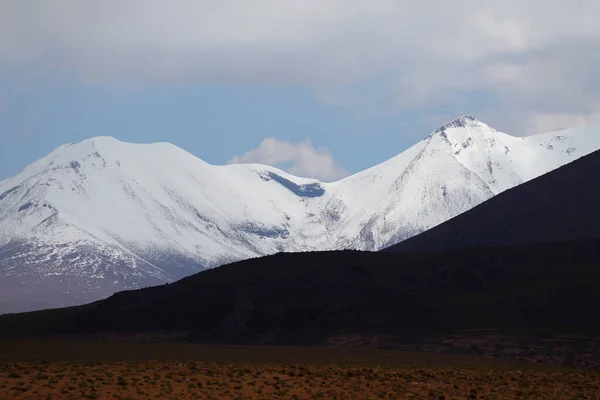 Заснеженные Вулканы Пустынные Пейзажи Высокогорье Боливии Андские Ландшафты Боливии — стоковое фото