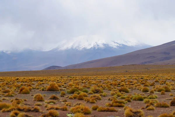 Karla Kaplı Volkanlar Bolivya Nın Dağlık Bölgelerindeki Çöl Manzaraları Bolivya — Stok fotoğraf