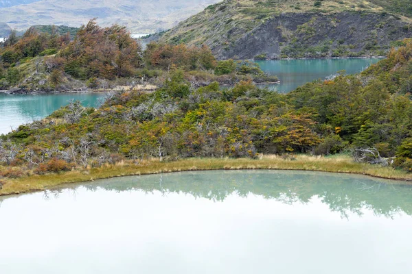 Lacs Couleurs Végétation Automnale Des Montagnes Torres Del Paine Parc — Photo