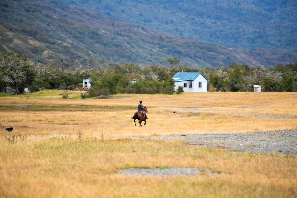 智利Torres Del Paine国家公园Torres Del Paine山脉下面的平原上 一只骑在马上的长笛 — 图库照片