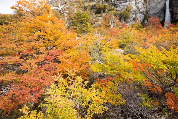 Podzimní Barvy Vegetace Kolem Vodopádu Chorrillo Del Salto Národní Park — Stock fotografie