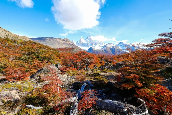 Herbstliche Vegetationsfarben Rund Die Laguna Capri Mit Dem Mount Fitzroy — Stockfoto