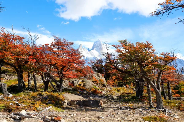 Herbstliche Vegetationsfarben Rund Die Laguna Capri Mit Dem Mount Fitzroy — Stockfoto