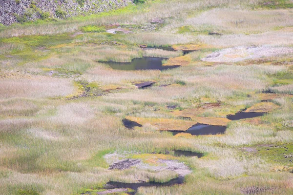 Blick Auf Den Kraterboden Von Rano Kau Mit Seinen Seen — Stockfoto