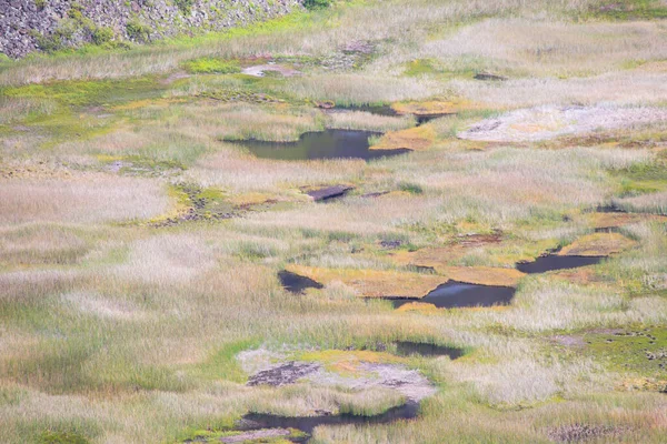 Vue Sur Fond Cratère Rano Kau Avec Ses Lacs Île — Photo