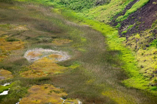 Blick Auf Den Kraterboden Von Rano Kau Mit Seinen Seen — Stockfoto