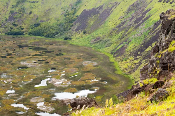 Blick Auf Den Kraterboden Von Rano Kau Mit Seinen Seen — Stockfoto