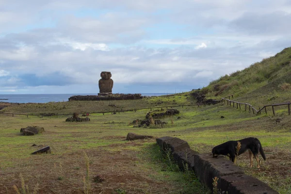 Moai Ahu Ature Front White Sandy Beach Anakena Easter Island — Stock Photo, Image