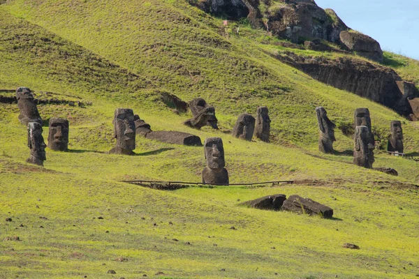 Εξωτερικές Πλαγιές Του Ηφαιστείου Rano Raraku Πολλά Moai Rano Raraku — Φωτογραφία Αρχείου
