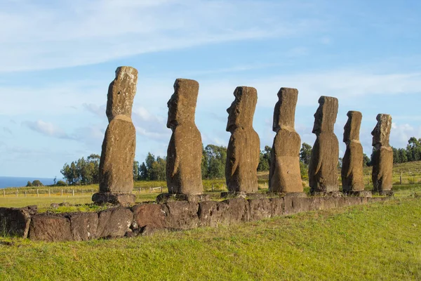 Los Moais Del Interior Ahu Akivi Estos Moais Miran Hacia — Foto de Stock