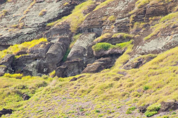 Моа Внутренних Стенах Кратера Вулкана Рано Рараку Карьера Моа Остров — стоковое фото