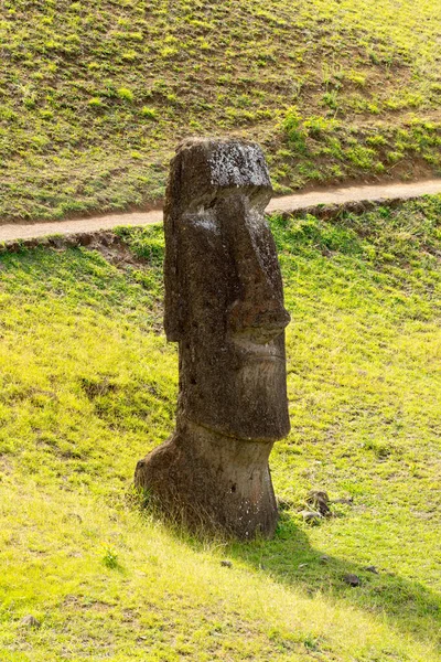 拉诺里瓦库火山外斜坡上的一个莫艾 拉诺加库是采石场 这里是莫伊山的雕刻地 智利伊斯特岛 — 图库照片