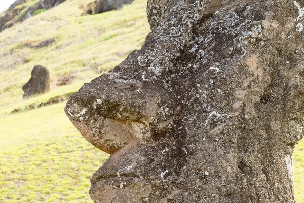 Moais Zewnętrznych Zboczach Wulkanu Rano Raraku Rano Raraku Jest Kamieniołomem — Zdjęcie stockowe