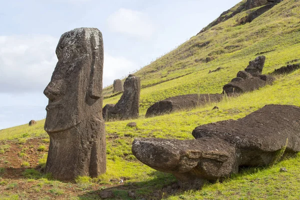 Moais Στις Εξωτερικές Πλαγιές Του Ηφαιστείου Rano Raraku Rano Raraku — Φωτογραφία Αρχείου