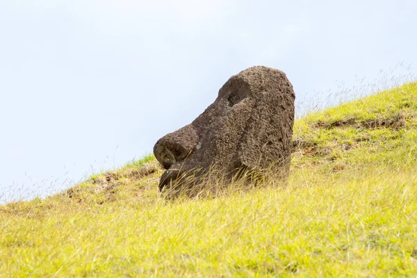 Moai Zewnêtrznych Zboczach Wulkanu Rano Raraku Rano Raraku Jest Kamieniołomem — Zdjęcie stockowe