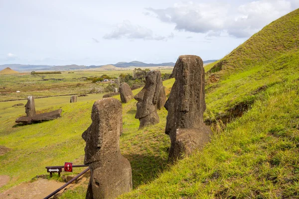 Moais Las Laderas Exteriores Del Volcán Rano Raraku Rano Raraku —  Fotos de Stock